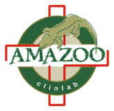 Amazoo Logo