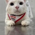 WhatsApp Image 2025-10-30 at 16.57.56 (1)