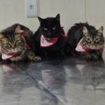 WhatsApp Image 2025-10-30 at 16.57.57 (1)