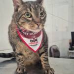 WhatsApp Image 2025-10-30 at 16.57.57 (2)