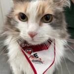 WhatsApp Image 2025-10-30 at 16.57.58 (3)