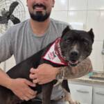 WhatsApp Image 2025-10-30 at 16.58.00 (2)