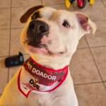 WhatsApp Image 2025-10-30 at 16.58.01 (3)