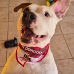 WhatsApp Image 2025-10-30 at 16.58.02 (1)