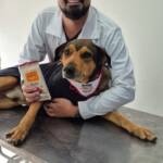 WhatsApp Image 2025-10-30 at 16.58.03 (1)