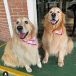 WhatsApp Image 2025-10-30 at 16.58.04 (1)