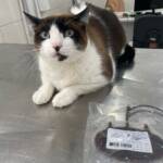 WhatsApp Image 2025-10-30 at 16.58.05