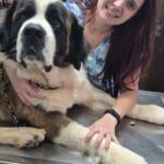 WhatsApp Image 2025-10-30 at 16.58.06 (1)