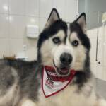 WhatsApp Image 2025-10-30 at 16.58.06