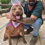 WhatsApp Image 2025-10-30 at 16.58.06 (2)