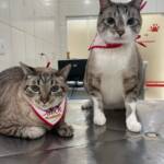 WhatsApp Image 2025-10-30 at 16.58.07 (1)