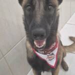 WhatsApp Image 2025-10-30 at 16.58.07