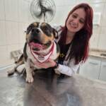 WhatsApp Image 2025-10-30 at 16.58.08