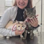 WhatsApp Image 2025-10-30 at 16.58.26 (1)