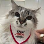 WhatsApp Image 2025-10-30 at 16.58.26