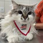 WhatsApp Image 2025-10-30 at 16.58.26 (2)