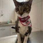 WhatsApp Image 2025-10-30 at 17.05.25 (1)