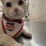 WhatsApp Image 2025-10-30 at 17.05.26 (2)