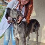 WhatsApp Image 2025-10-30 at 17.05.59