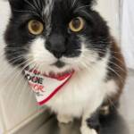 WhatsApp Image 2025-10-30 at 17.06.00 (1)