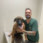 WhatsApp Image 2025-10-30 at 17.06.00