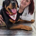 WhatsApp Image 2025-10-30 at 17.06.00 (3)