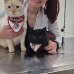 WhatsApp Image 2025-10-30 at 17.06.01