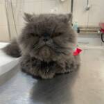 WhatsApp Image 2025-10-30 at 17.06.45 (1)