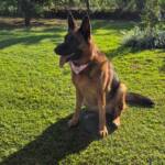 WhatsApp Image 2025-10-30 at 17.07.44