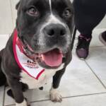 WhatsApp Image 2025-10-30 at 17.08.43