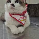 WhatsApp Image 2025-10-30 at 17.08.44 (3)