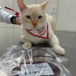 WhatsApp Image 2025-10-30 at 17.08.45