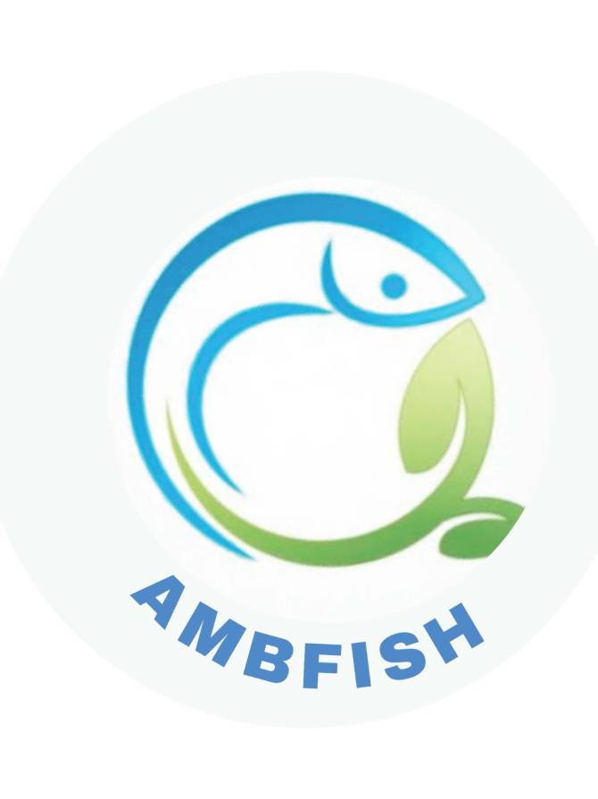 WhatsApp Image 2026-01-13 at 11.17.40