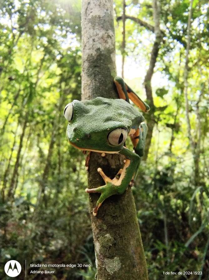 WhatsApp Image 2026-01-13 at 11.23.03