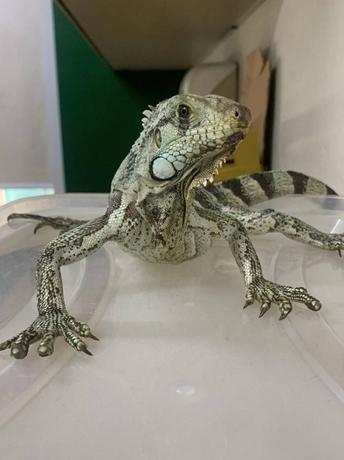 WhatsApp Image 2026-02-14 at 11.20.40